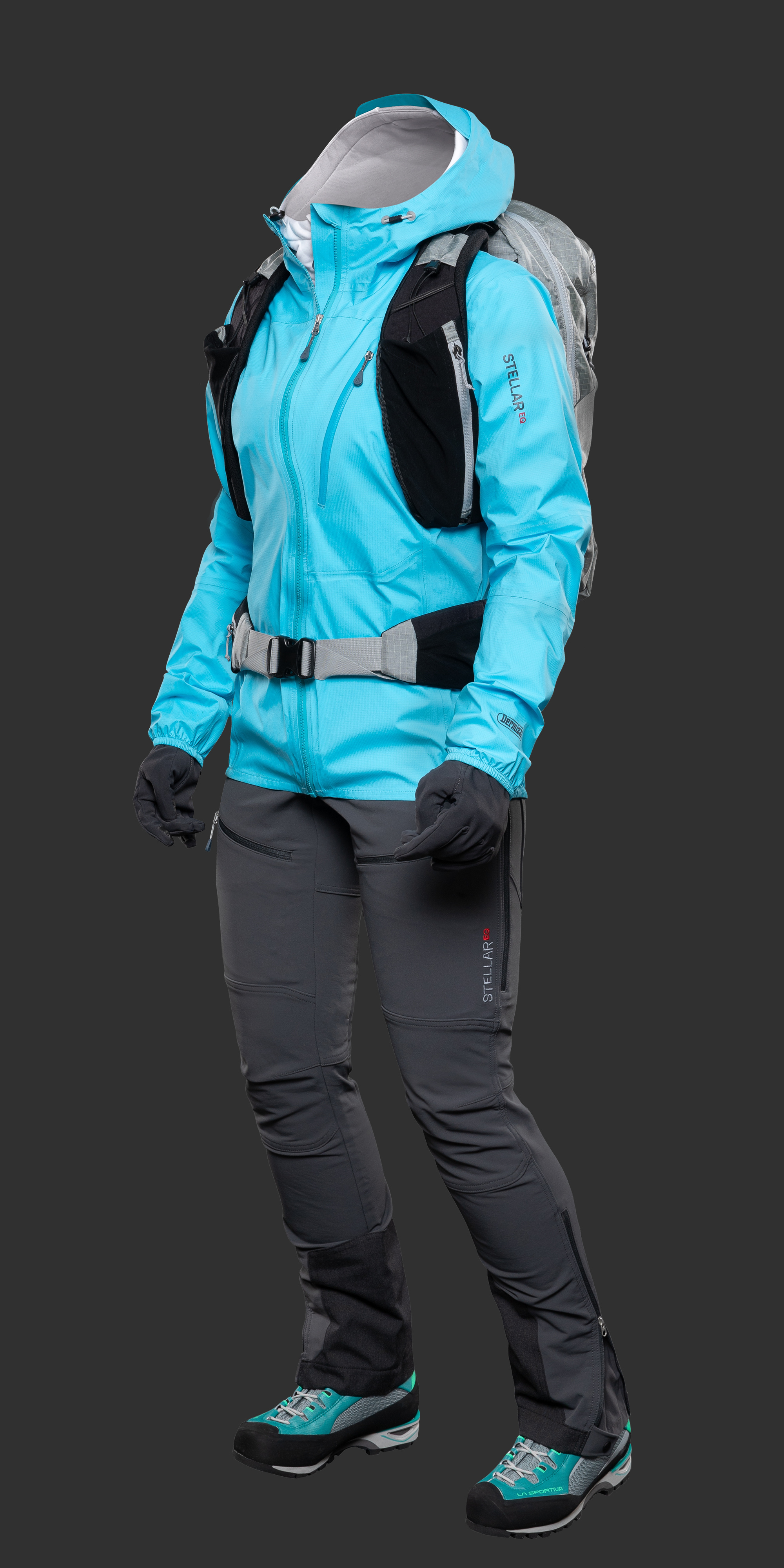 The Stellar System Stellar Equipment